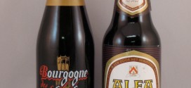 17c - Flanders Brown Ale / Oud Bruin