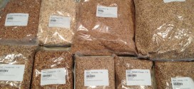 Assorted grains for making beer