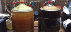 Kolsch & Belgian Dubbel at end of primary fermentation