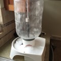 Test cleaning a Carboy