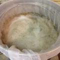 Mashing-in complete
