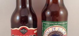 10a - American Pale Ale