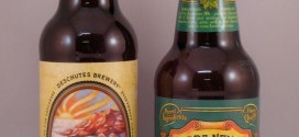 14b - American IPA