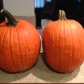 2 large Jack Lantern pumpkins