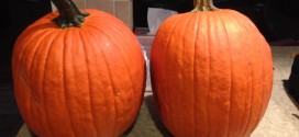 2 large Jack Lantern pumpkins